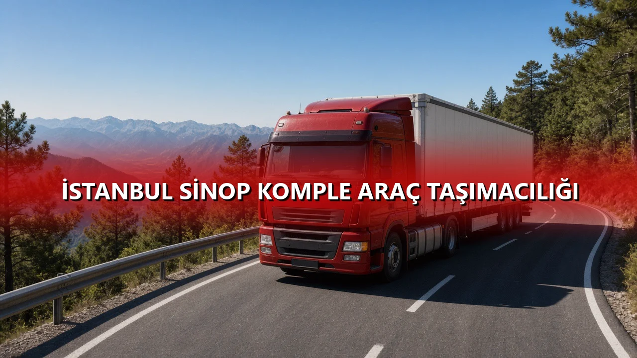 İstanbul Sinop Komple Araç Taşımacılığı