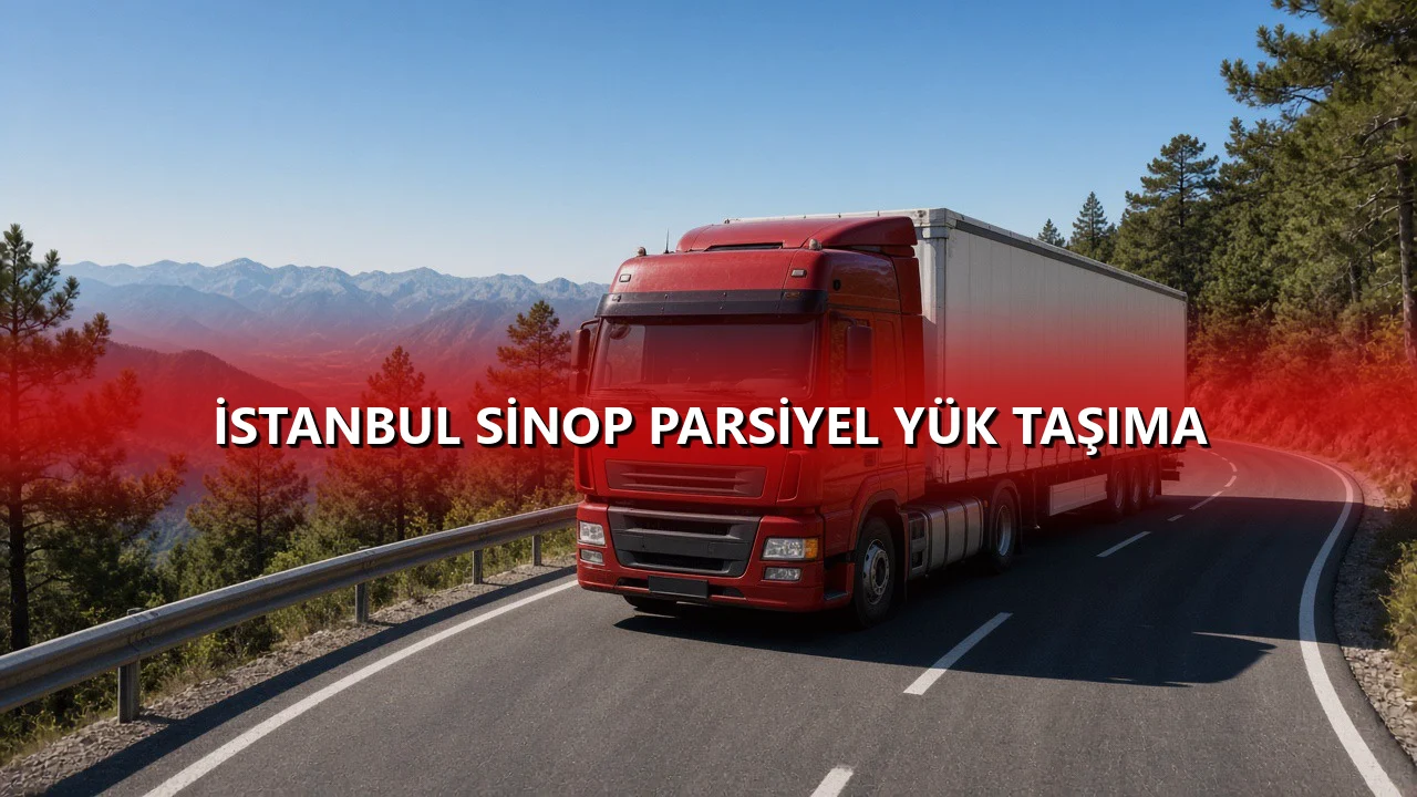 İstanbul Sinop Parsiyel Yük Taşıma